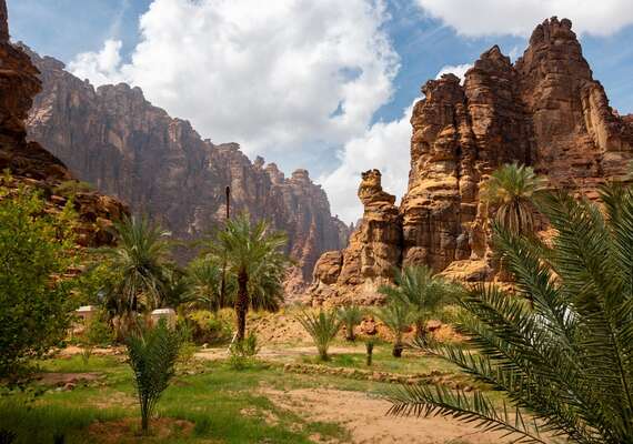 تبوك - شاليهات وشقق للإيجار